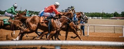 horse racing news