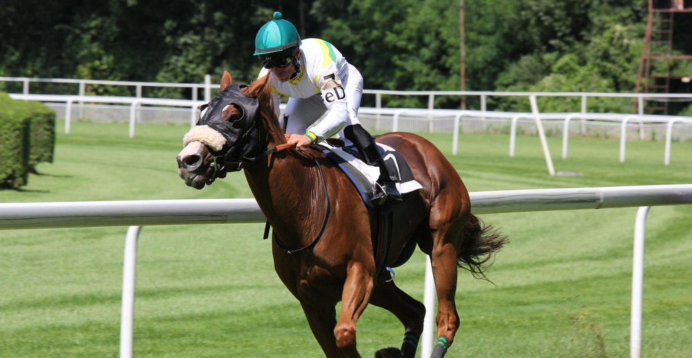 Danish Horse Racing Revenue Increased in 2019